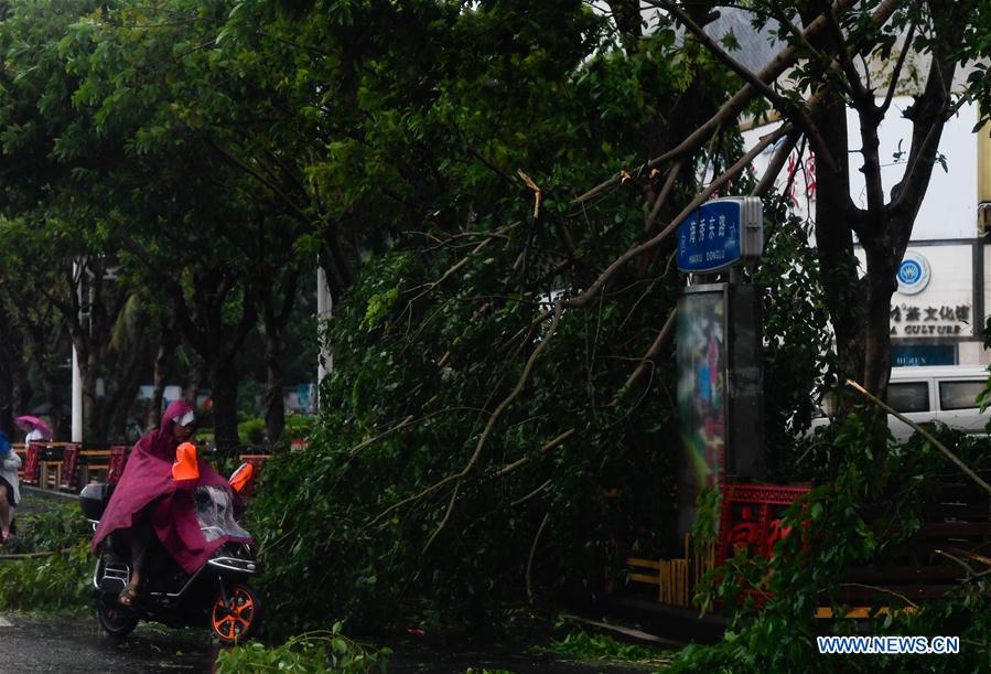 CHINA-HAINAN-TYPHOON WIPHA-LANDING (CN)