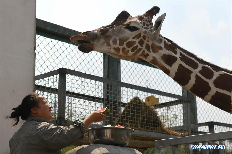 CHINA-ANHUI-HEFEI-ZOO-WEATHER (CN)