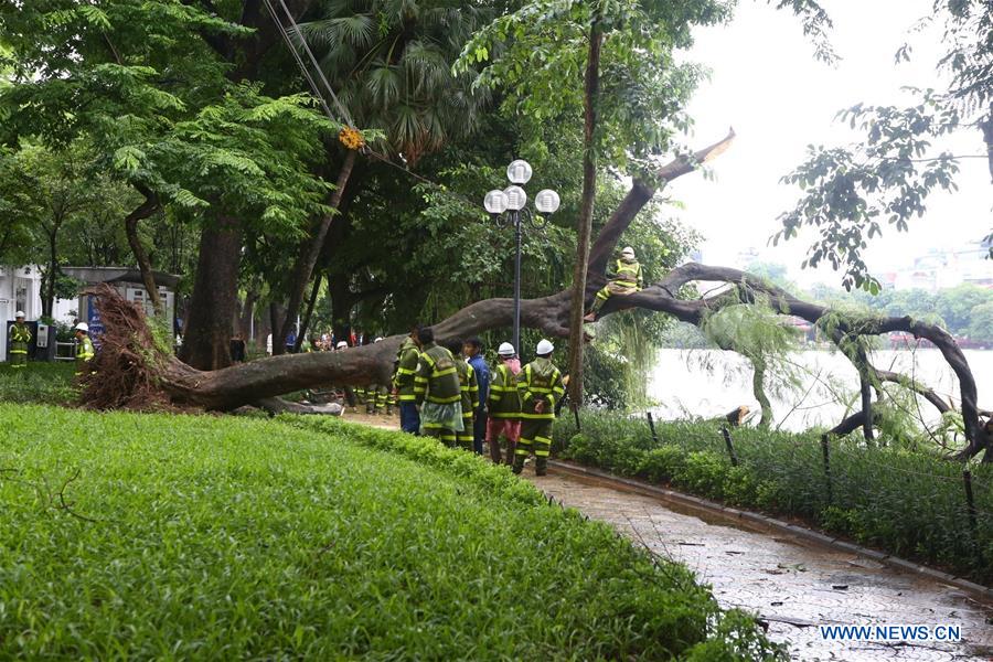 VIETNAM-TYPHOON WIPHA-AFTERMATH