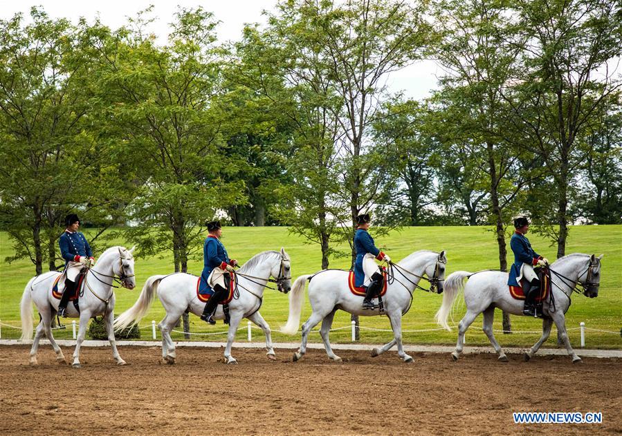 U.S.-ILLINOIS-HORSE-TRAINING