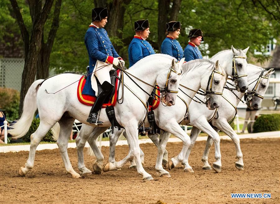 U.S.-ILLINOIS-HORSE-TRAINING