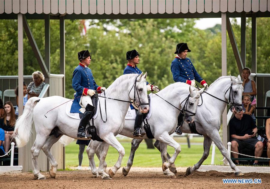 U.S.-ILLINOIS-HORSE-TRAINING