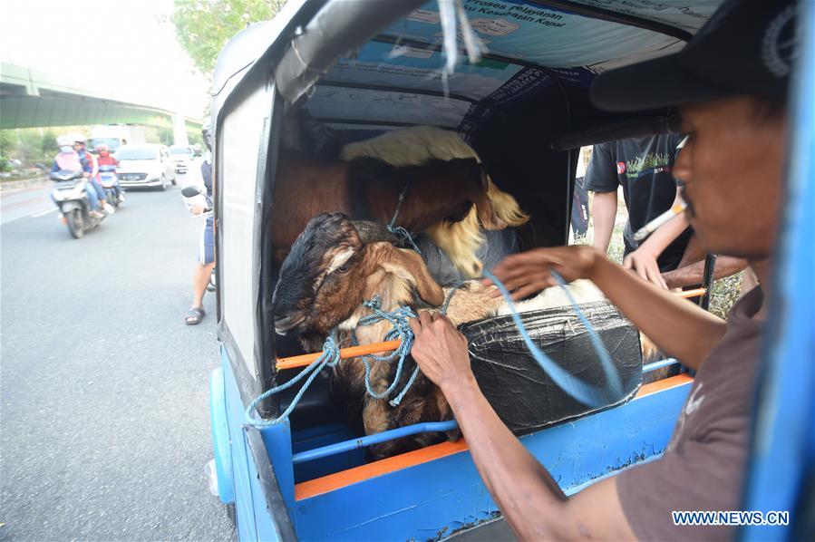 INDONESIA-JAKARTA-LIVESTOCK-TRANSPORT-EID AL-ADHA