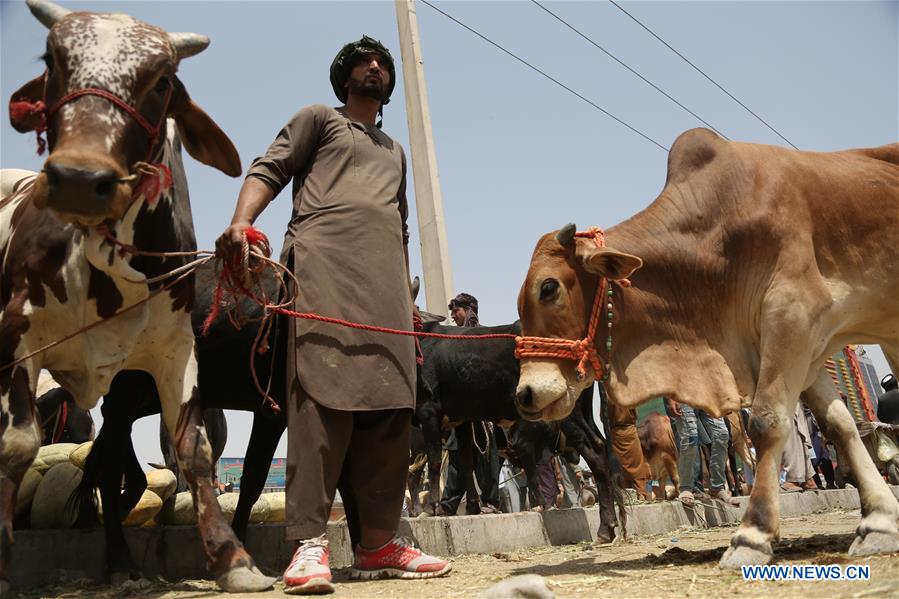 AFGHANISTAN-KABUL-EID AL-ADHA-PREPARATION