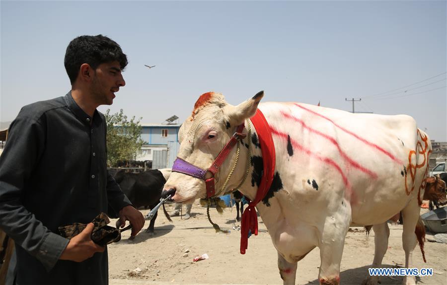 AFGHANISTAN-KABUL-EID AL-ADHA-PREPARATION