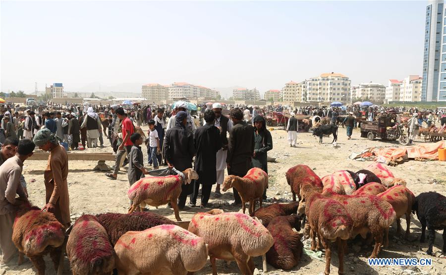 AFGHANISTAN-KABUL-EID AL-ADHA-PREPARATION