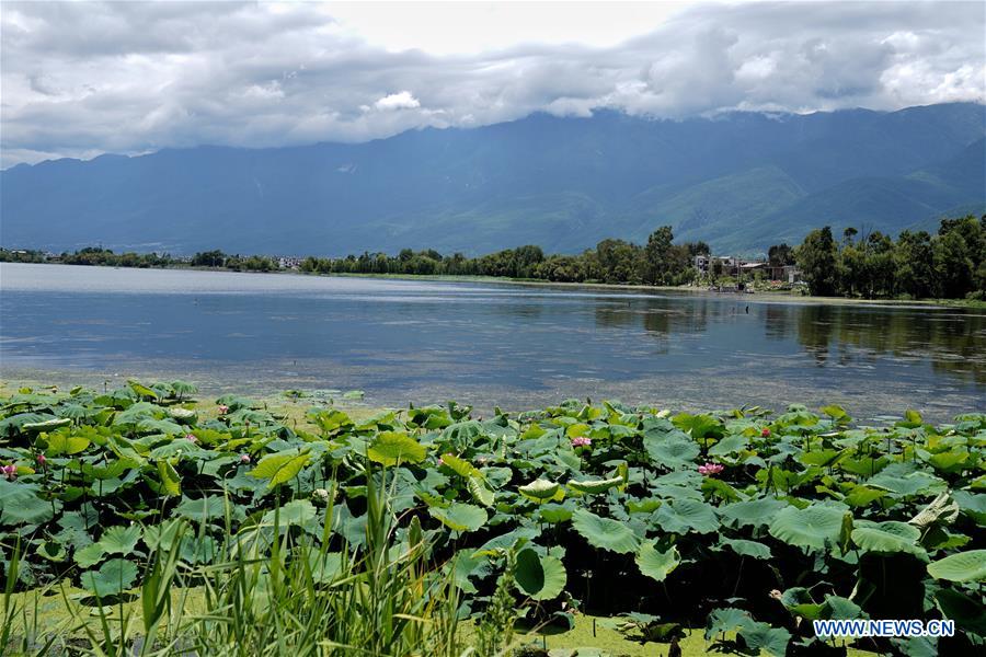 CHINA-YUNNAN-ERHAI LAKE-WATER QUALITY (CN)