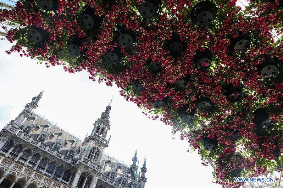 BELGIUM-BRUSSELS-FLOWERTIME-EXHIBITION