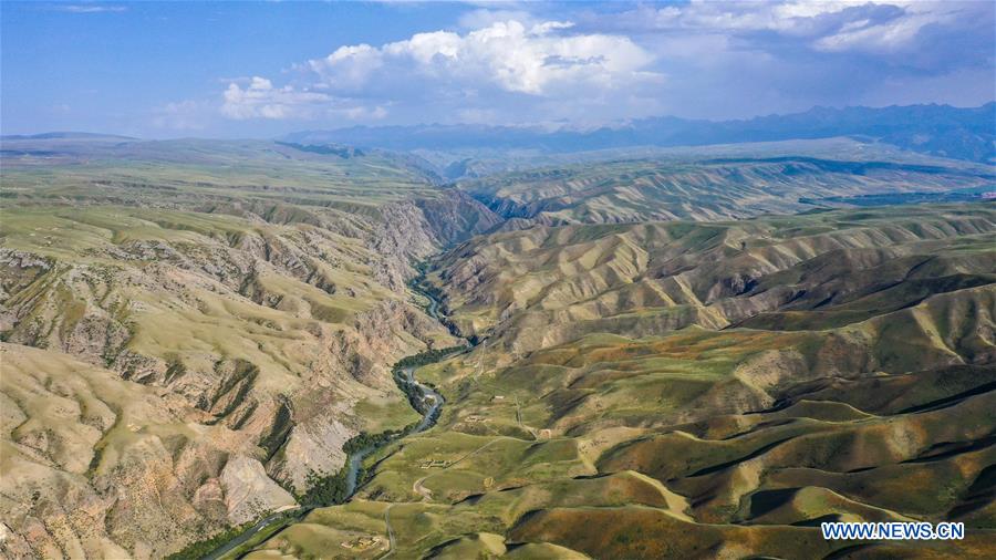 CHINA-XINJIANG-TEKES-KALAJUN GRASSLAND-SCENERY (CN)