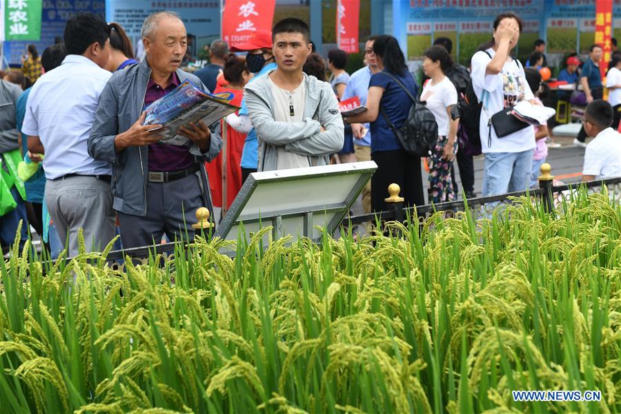 CHINA-JILIN-CHANGCHUN-AGRICULTURE EXPO (CN)