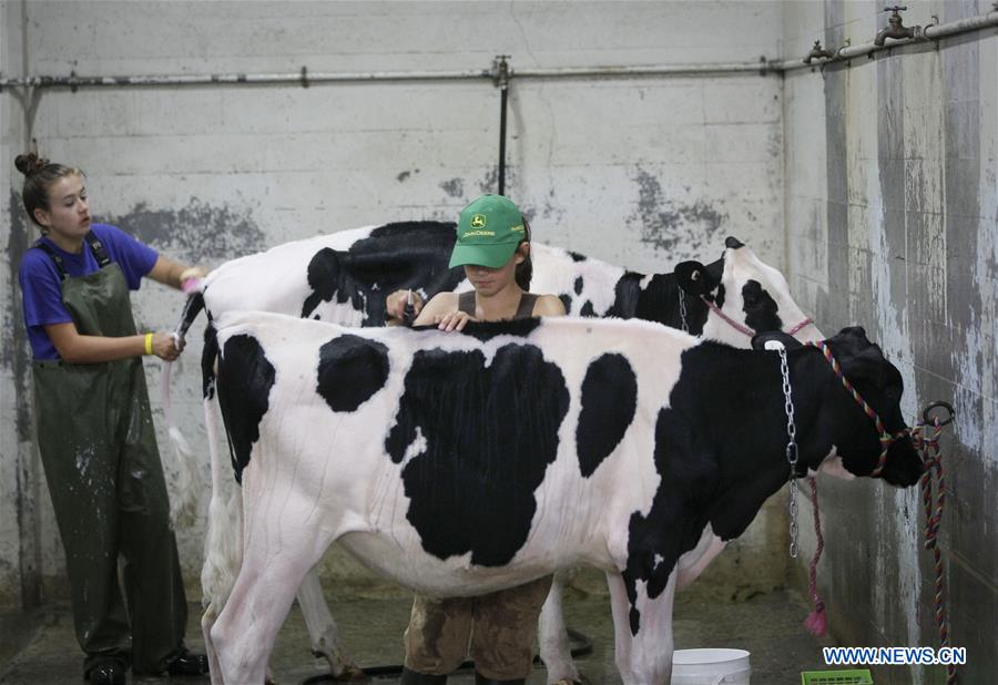 CANADA-VANCOUVER-AGRICULTURAL FAIR