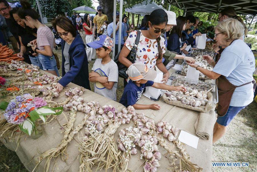 11th annual Garlic Festival held in Richmond, Canada Xinhua English