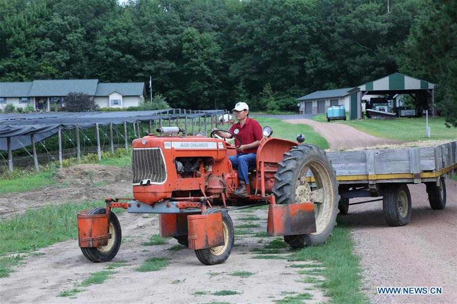 U.S.-WISCONSIN-GINSENG FAMER