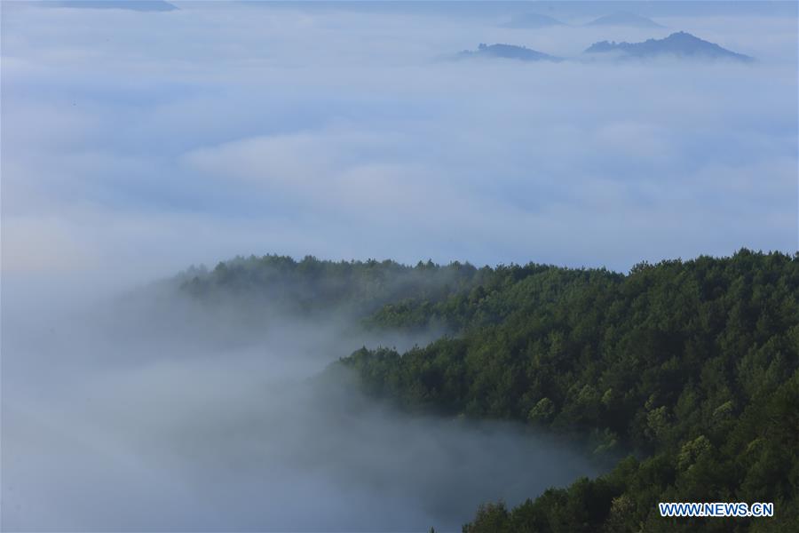 CHINA-GUANGXI-TIANDONG-SEA OF CLOUDS (CN)