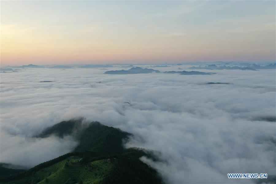 CHINA-GUANGXI-TIANDONG-SEA OF CLOUDS (CN)