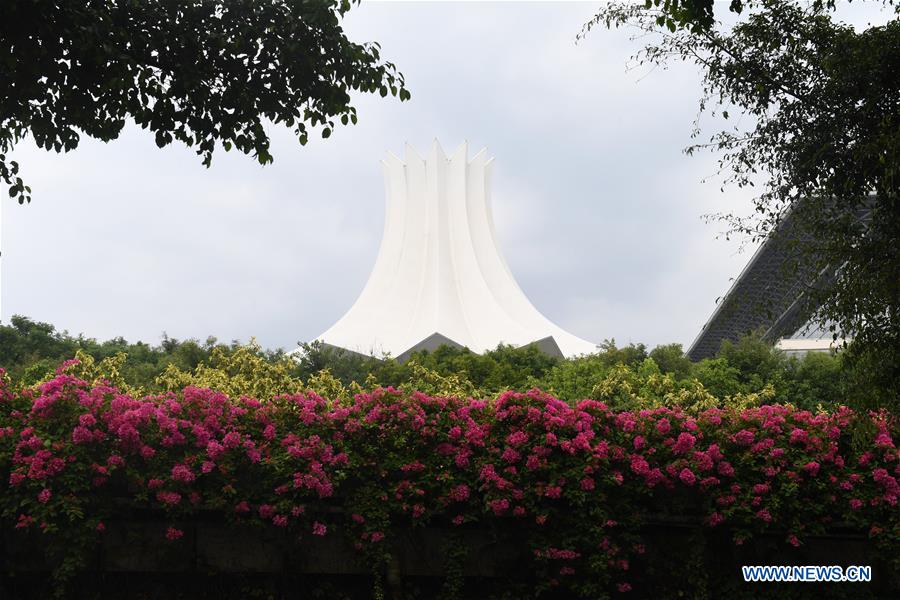 CHINA-NANNING-FLOWERS (CN)