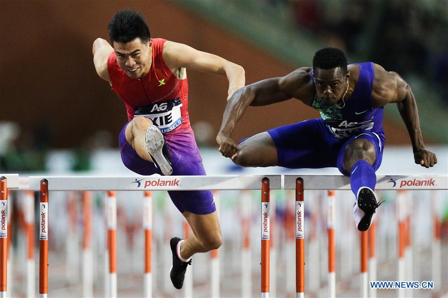 (SP)BELGIUM-BRUSSELS-ATHLETICS-IAAF DIAMOND LEAGUE-MEN'S 110M HURDLES