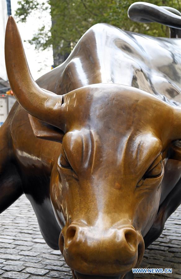 U.S.-NEW YORK-CHARGING BULL-DAMAGE