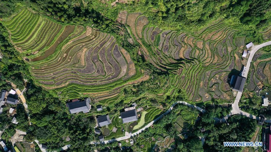 CHINA-GUANGXI-RONGSHUI-AUTUMN SCENERY(CN)