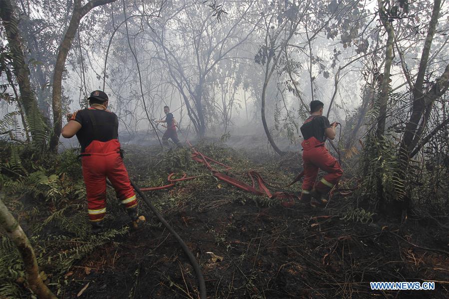 INDONESIA-RIAU-FOREST FIRE