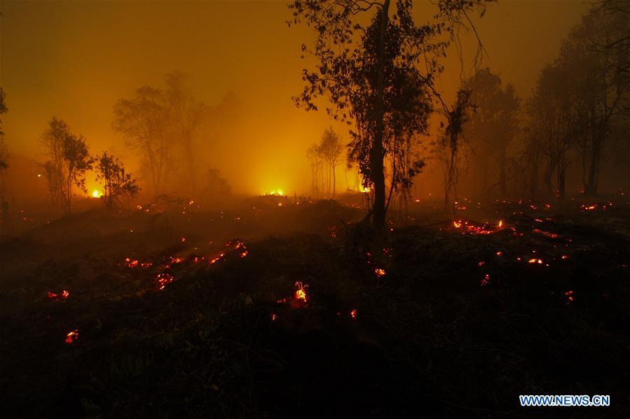 INDONESIA-RIAU-FOREST FIRE