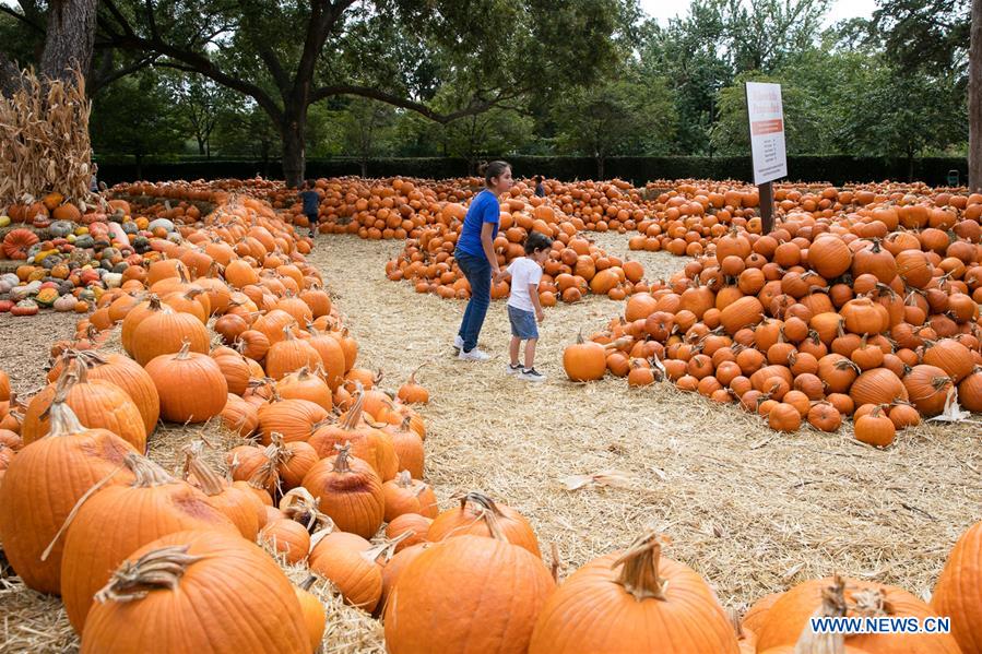 U.S.-TEXAS-DALLAS-ARBORETUM