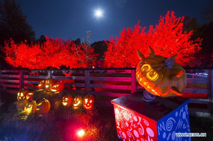 CANADA-ONTARIO-MORRISBURG-PUMPKINFERNO