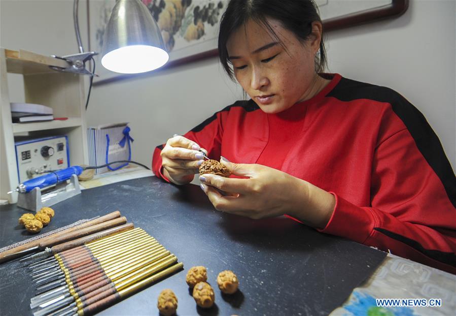 CHINA-HEBEI-FRUIT PIT-CARVING (CN)