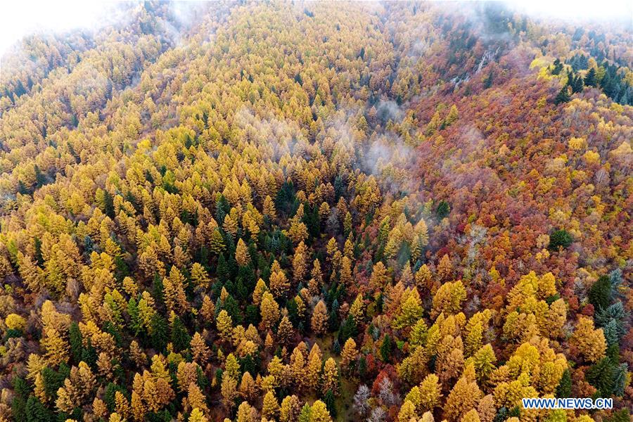 CHINA-SHANXI-PANGQUANGOU-NATURE RESERVE (CN)