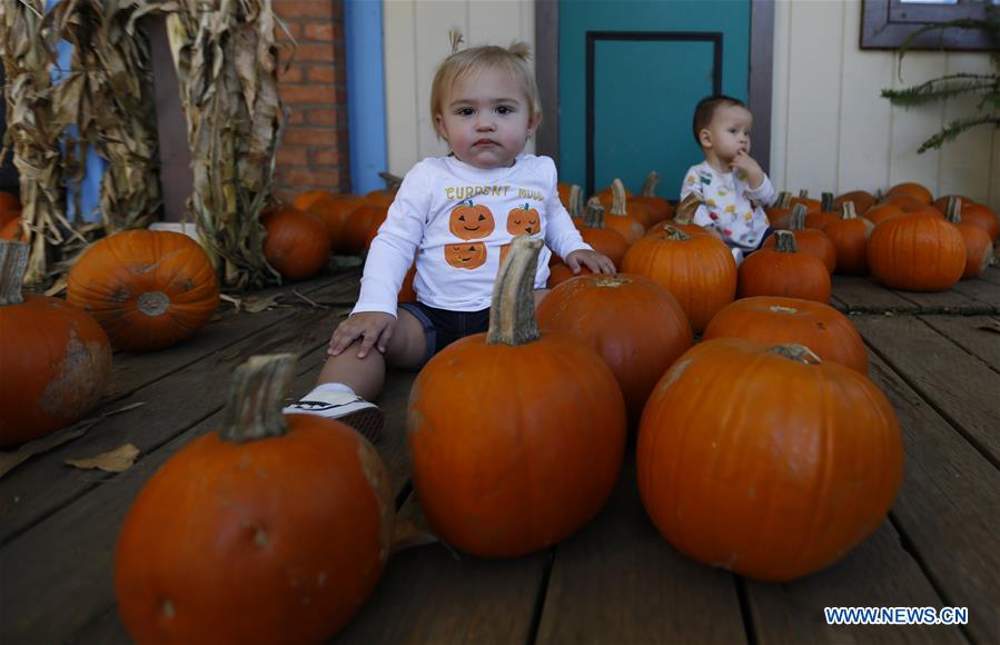 U.S.-CALIFORNIA-IRVINE-PUMPKINS