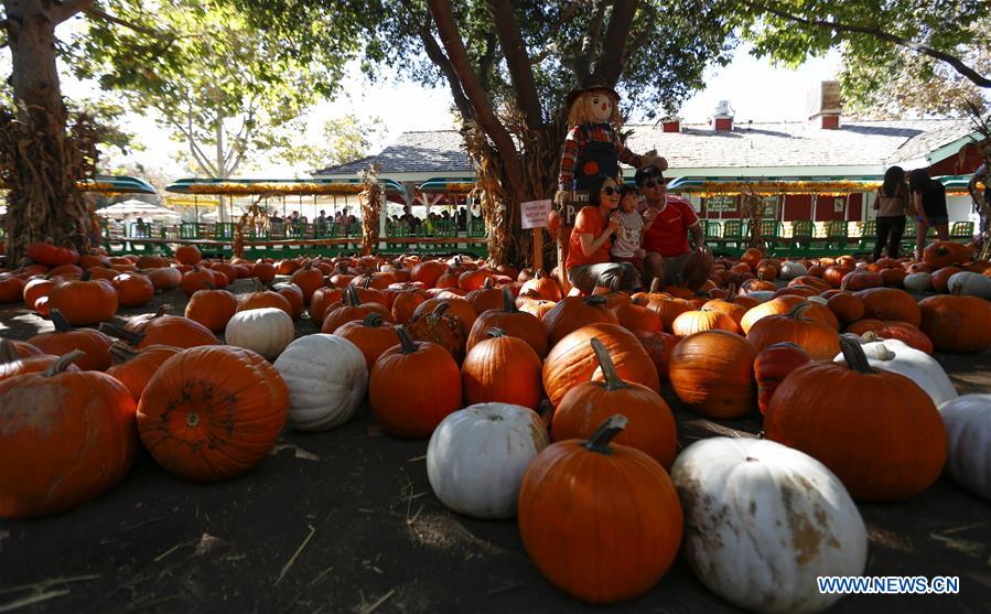 U.S.-CALIFORNIA-IRVINE-PUMPKINS