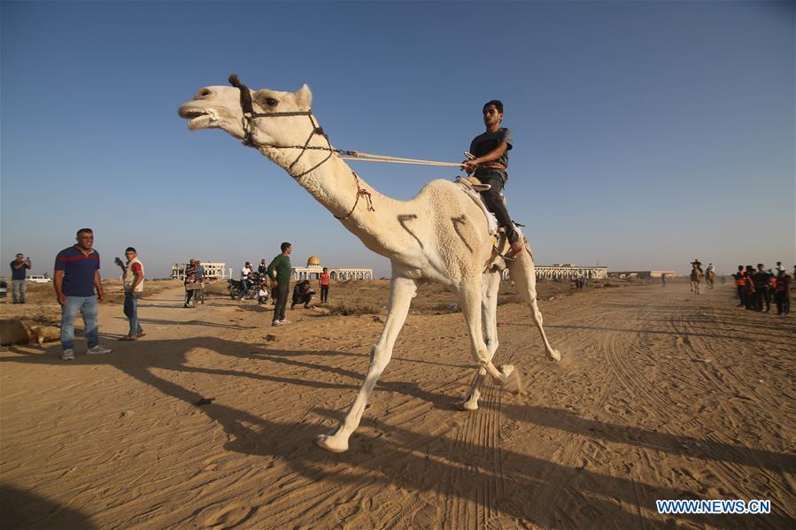 MIDEAST-GAZA-CAMEL-RACE