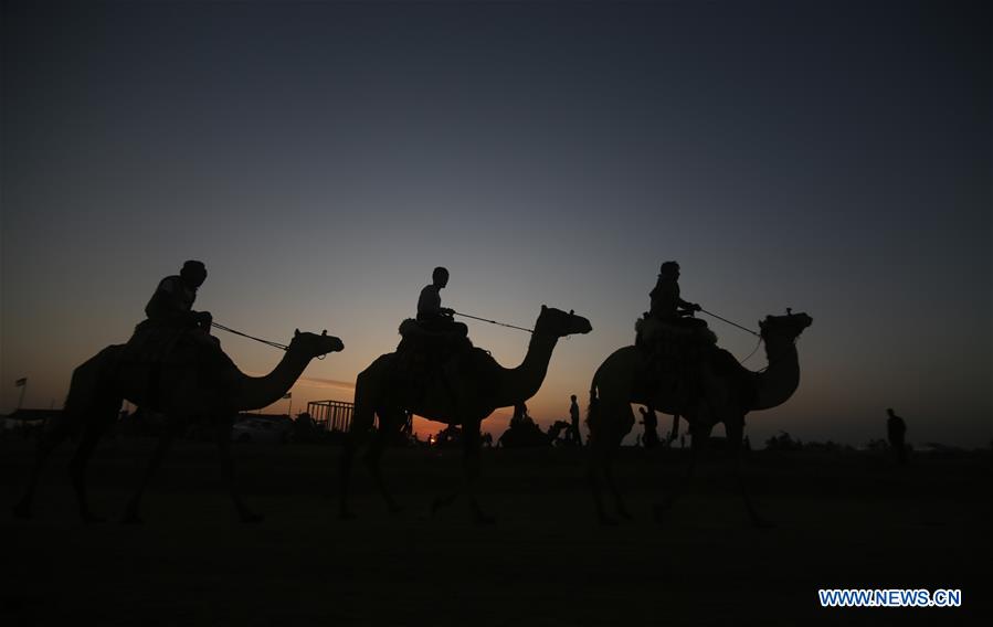 MIDEAST-GAZA-CAMEL-RACE