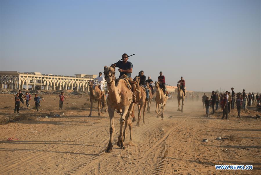 MIDEAST-GAZA-CAMEL-RACE