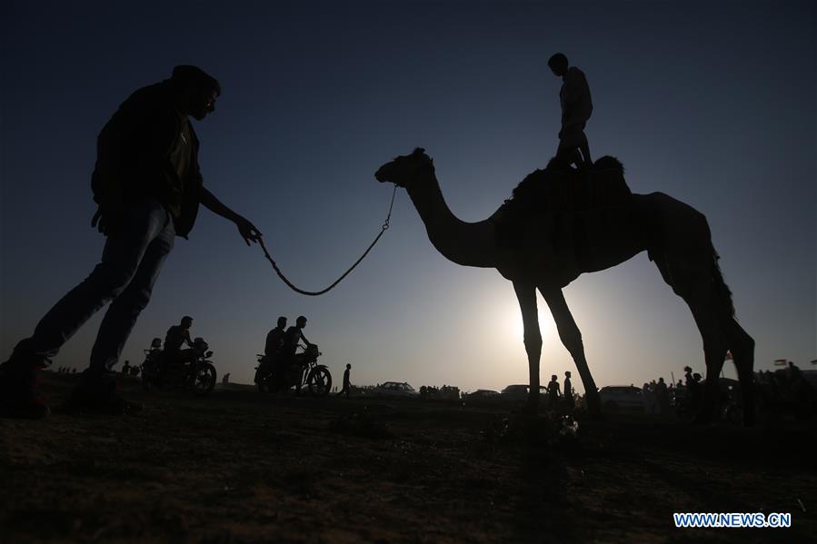 MIDEAST-GAZA-CAMEL-RACE