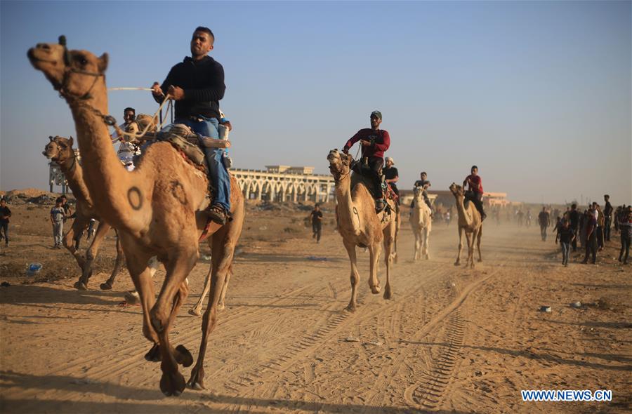 MIDEAST-GAZA-CAMEL-RACE