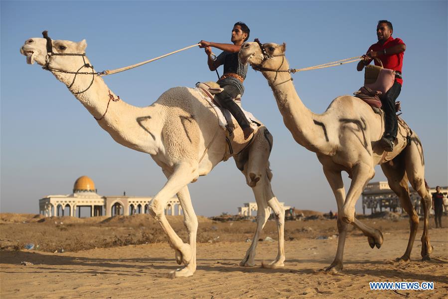 MIDEAST-GAZA-CAMEL-RACE