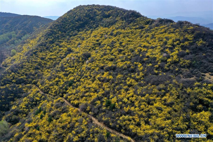 CHINA-SHANXI-ECOLOGICAL PROTECTION (CN)