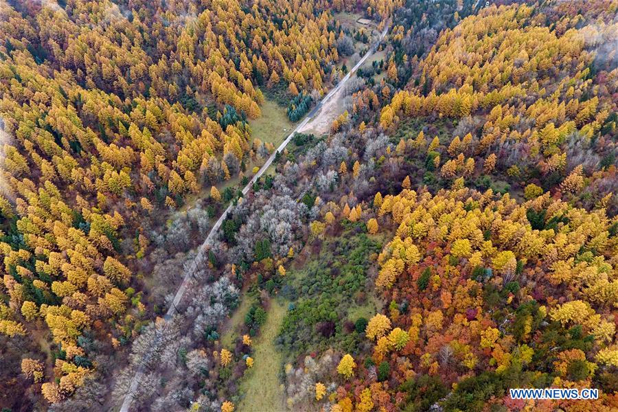 CHINA-SHANXI-ECOLOGICAL PROTECTION (CN)