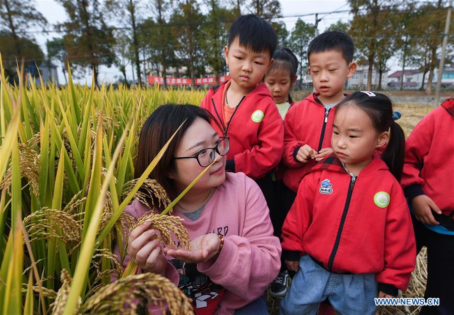 CHINA-ZHEJIANG-CHANGXING-EDUCATION-OUTDOOR CLASS (CN)