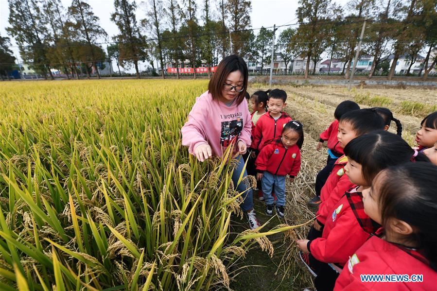 CHINA-ZHEJIANG-CHANGXING-EDUCATION-OUTDOOR CLASS (CN)