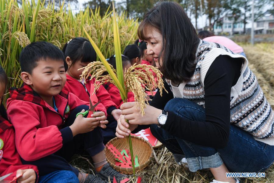 CHINA-ZHEJIANG-CHANGXING-EDUCATION-OUTDOOR CLASS (CN)