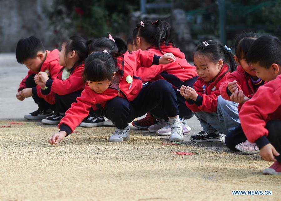 CHINA-ZHEJIANG-CHANGXING-EDUCATION-OUTDOOR CLASS (CN)