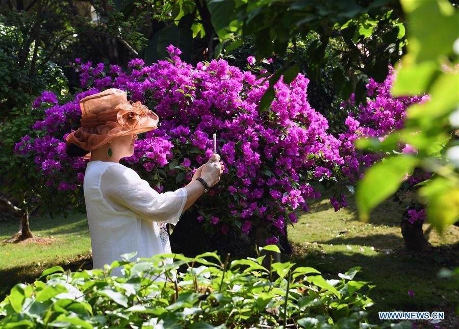 CHINA-YUNAN-JINGHONG-FLOWERS (CN)