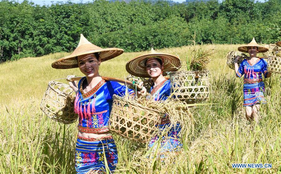 CHINA-HAINAN-BAISHA-LI ETHNIC GROUP-RICE HARVEST-CELEBRATION (CN)