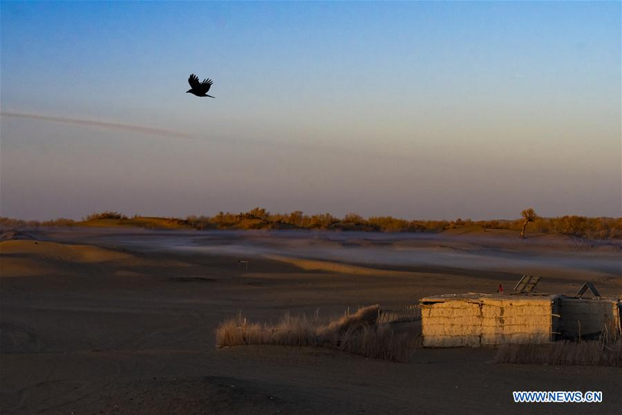 CHINA-XINJIANG-NATURE-KERIYA RIVER (CN)