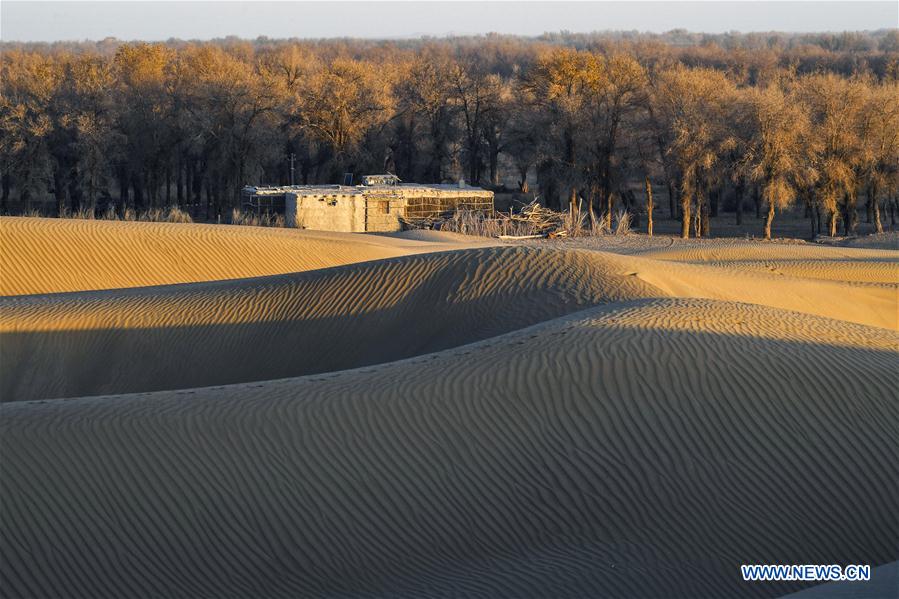 CHINA-XINJIANG-NATURE-KERIYA RIVER (CN)