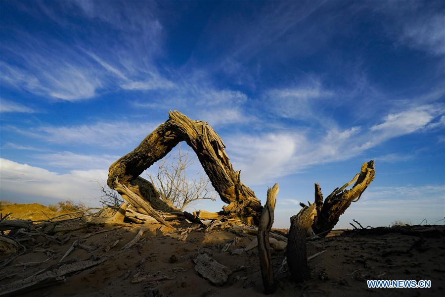 CHINA-XINJIANG-NATURE-KERIYA RIVER (CN)