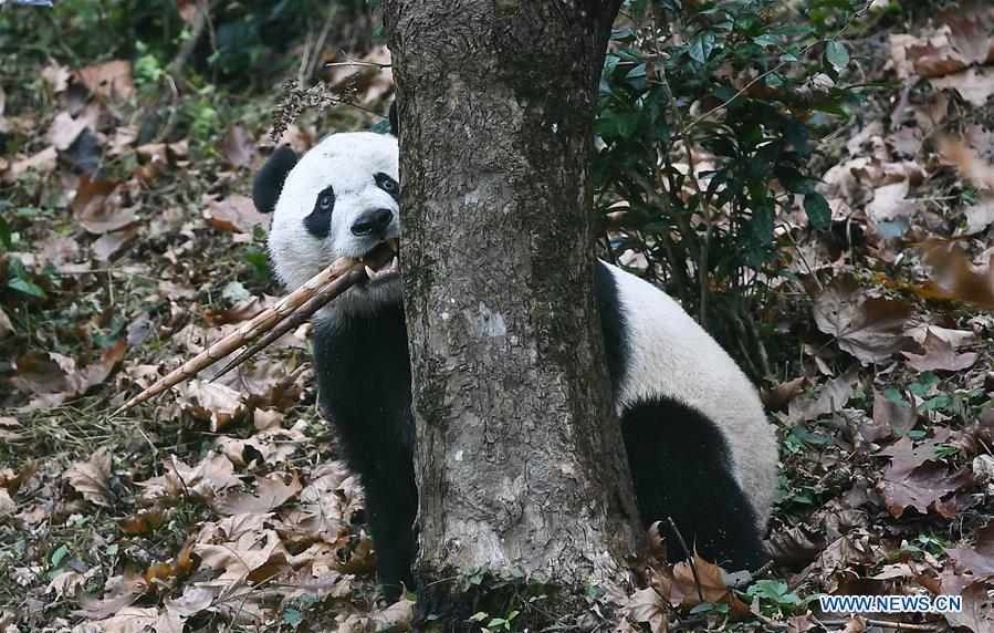 XINHUA PHOTOS OF THE DAY