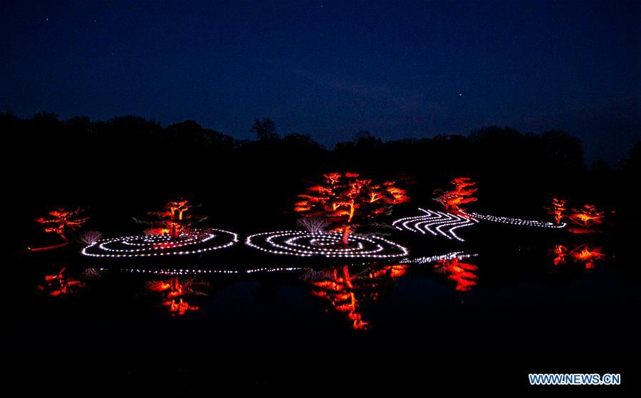 U.S.-CHICAGO-LIGHT SHOW